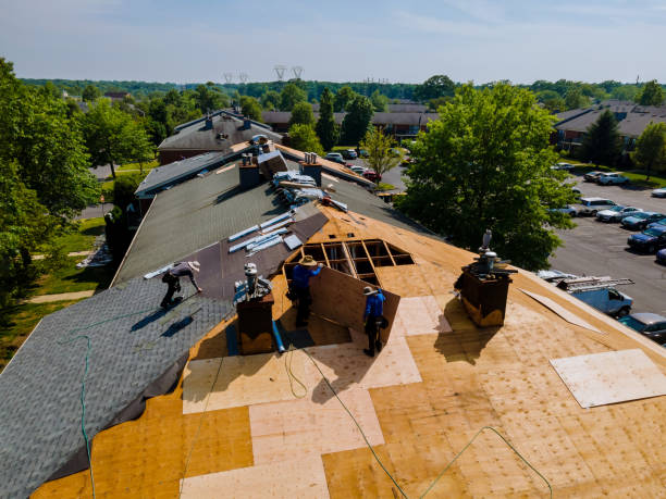 Best New Roof Installation  in Freeland, MI