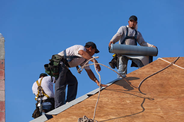 Best Roof Restoration Services  in Freeland, MI