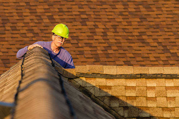 Best Roof Repair Services  in Freeland, MI