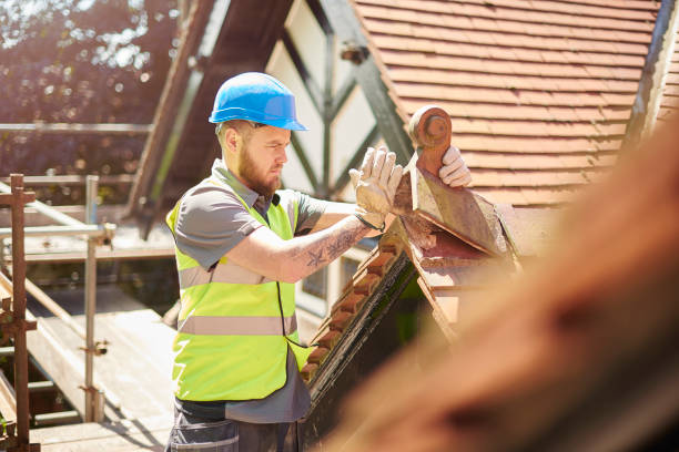 Best Residential Roofing Contractor  in Freeland, MI