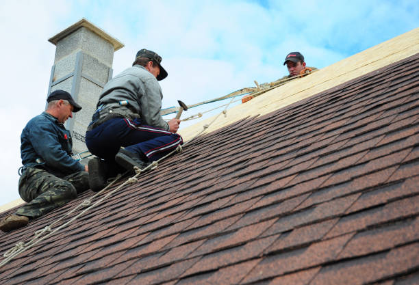 Best Best Roofing Contractors  in Freeland, MI
