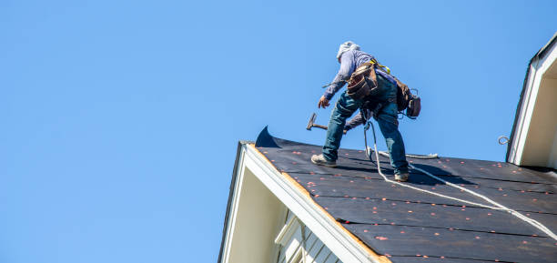 Best Flat Roof Repair Services  in Freeland, MI
